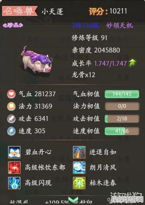 大话西游手游龟丞相加点与洗练全攻略