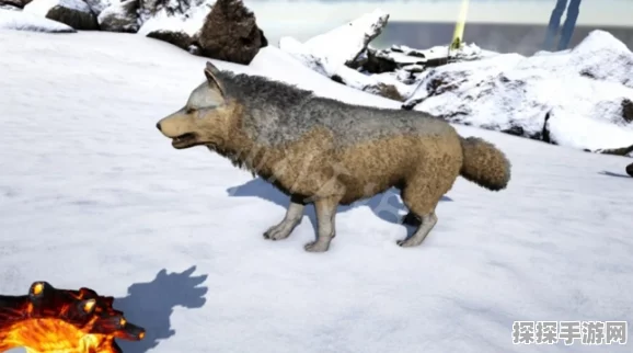 方舟生存进化手游，冰原狼Direwolf全新版本更新资讯