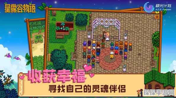 星露谷物语技能系统深度解析，手游资讯速递