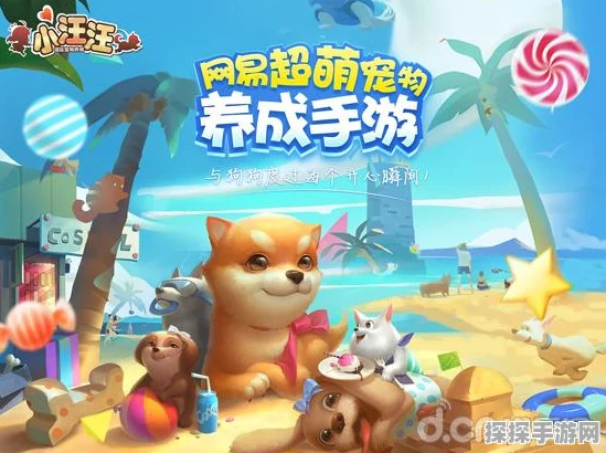 迷你世界新增宠物领养系统，打造专属萌宠陪伴之旅