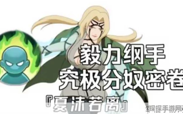 火影女忍耐力测试挑战赛，手游界的新风暴，勇气与毅力的终极较量