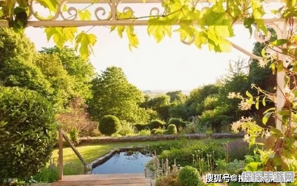 2025阴阳师桃花妖分布位置全解析