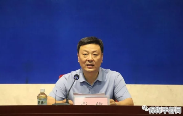 手游资讯，猫之城自由轮滑阵容配队攻略深度解析