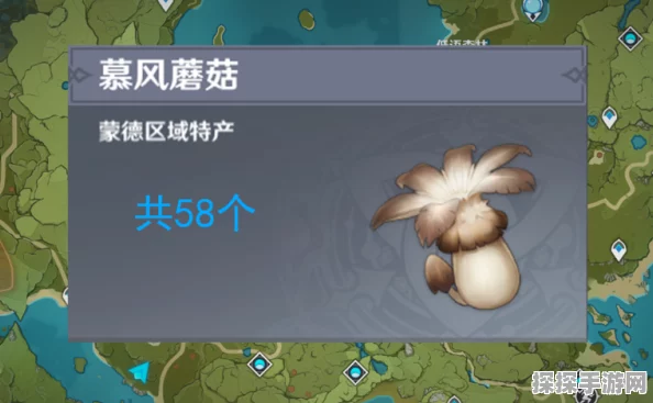 原神慕风蘑菇采集指南，详尽位置分布图与采集攻略