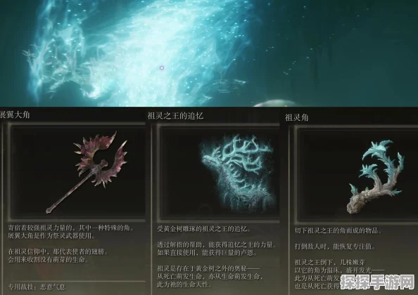 深入探索艾尔登法环，揭秘永恒之城的入口与路径