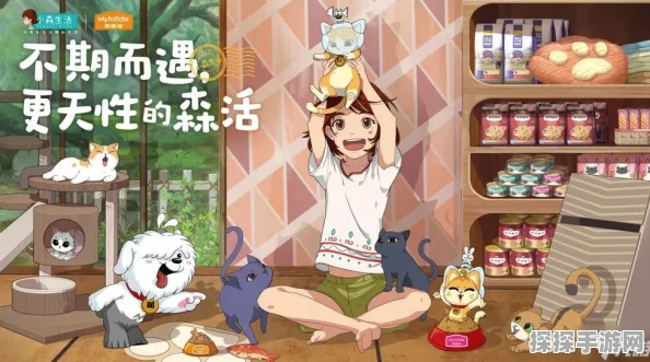 小森生活火鸡券获取全攻略，轻松领养限定猫咪