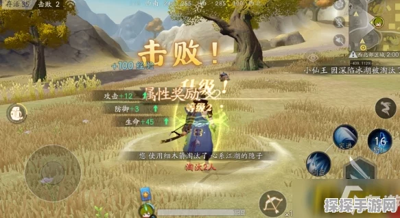 风云岛行动新手必看，全面生存攻略与最新资讯速递
