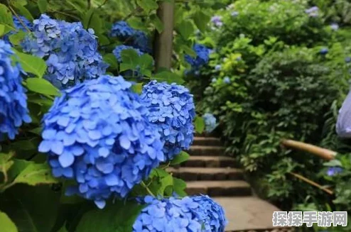 梦幻西游手游高校PK争霸赛全解析，资源管理视角下的活动策略与深度剖析