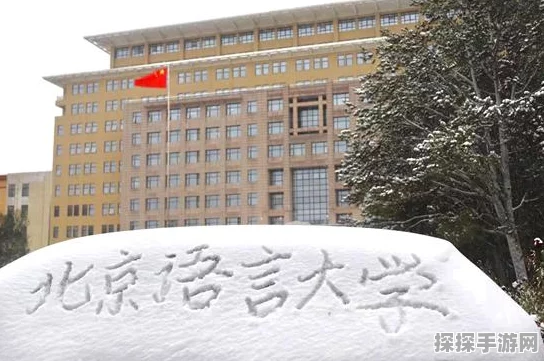 梦幻西游手游高校PK争霸赛全解析，资源管理视角下的活动策略与深度剖析