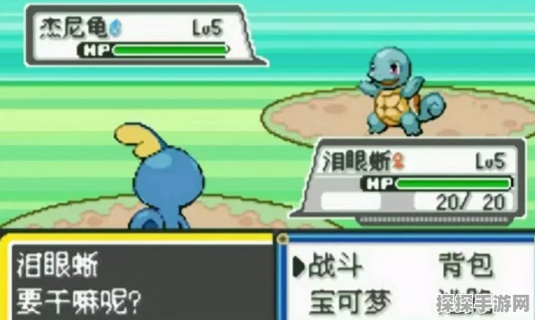 手游资讯，深入解析口袋妖怪复刻伊布性格选择与培养策略