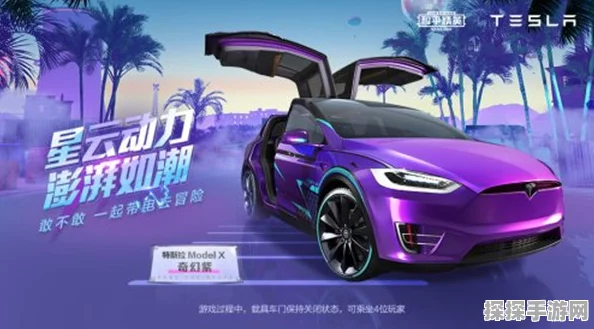 和平精英特斯拉600点券抽奖攻略，高效策略助你赢取稀有奖励