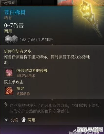 博德之门3强力消耗品全揭秘