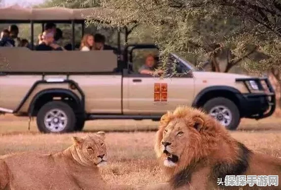 梦幻西游狩猎之旅全攻略，畅享狩猎狂欢