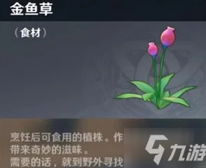原神金鱼草获取全攻略，位置探寻与采摘路线详解