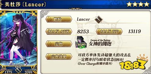 FGO深度攻略，御主礼装搭配策略与实战效果全面剖析