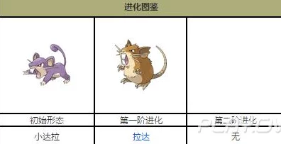 手游资讯，深入解析口袋妖怪复刻中小拉达的种族值与战斗潜力