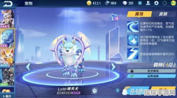 QQ飞车手游点券宠物深度解析，助力玩家驰骋赛道