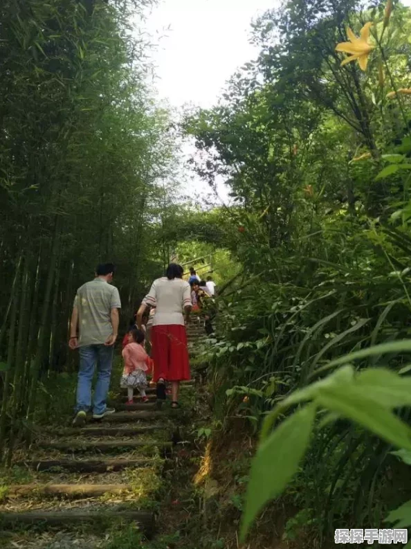 手游资讯，揭秘桃源深处有人家乐园飞叶小憩触发攻略