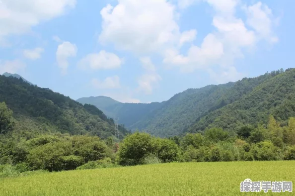 手游资讯，揭秘桃源深处有人家乐园飞叶小憩触发攻略