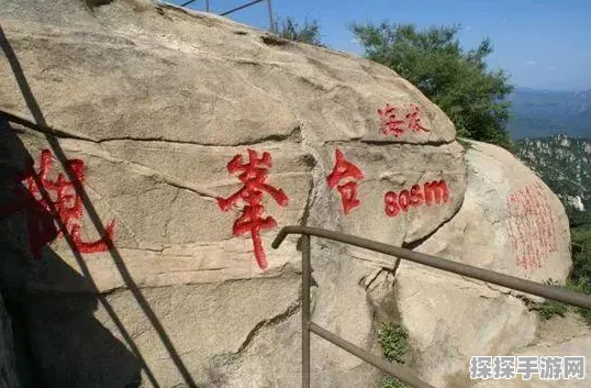 手游资讯，揭秘桃源深处有人家乐园飞叶小憩触发攻略