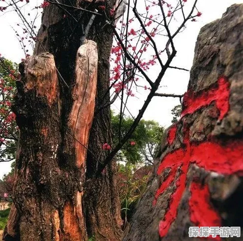 DNF手游资讯，六瓣花开装备价值深度剖析