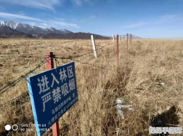 手游资讯，植物大战僵尸无尽版开局布阵策略深度解析