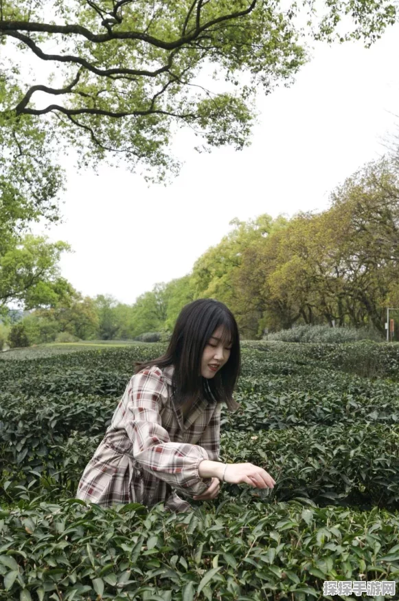 住客大人的梦幻花园，秘境之旅开启独特风情新篇章