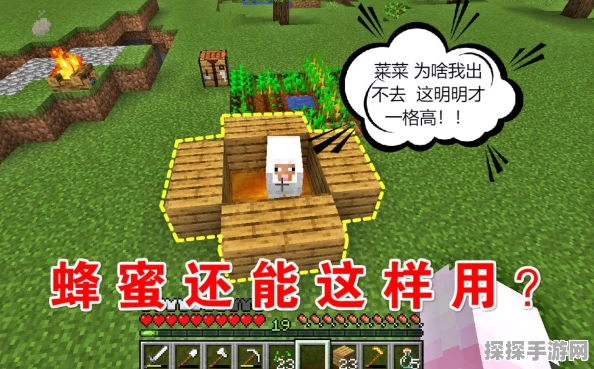 我的世界探险攻略，无伤采集蜂蜜的甜蜜挑战必胜秘籍揭晓