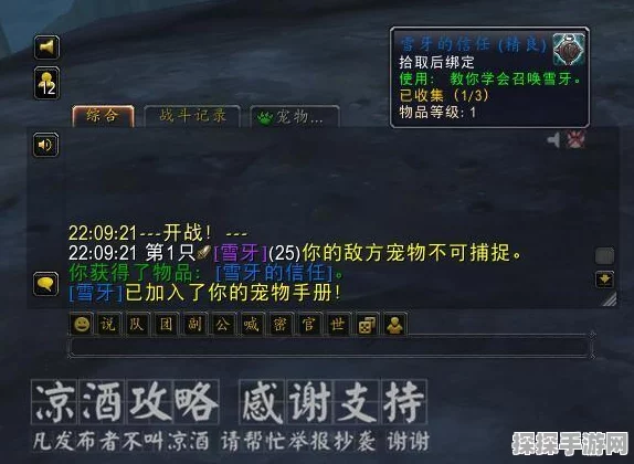 手游资讯指令，撰写关于魔兽世界萨满升腾技能作用的深度解析
