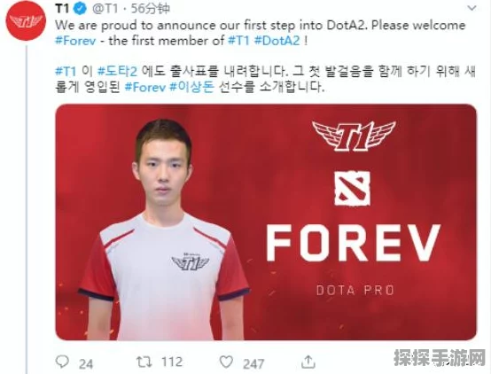 Dota 2 TI奖金池，从百万到亿万的荣耀征程