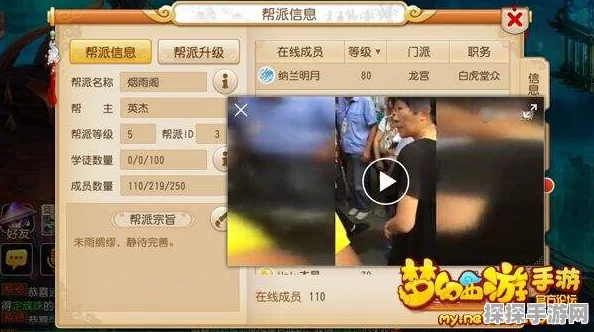 梦幻西游手游频繁掉线问题深度解析与官方应对措施