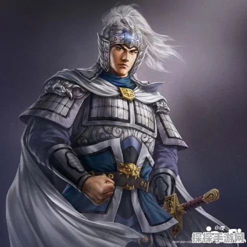 三国志8重制版武将能力大揭秘，五种能力排行榜震撼发布