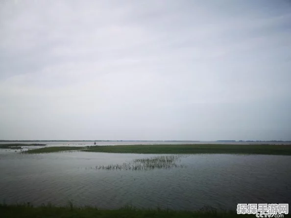 创造与魔法房顶建造全攻略，打造你的梦幻家园