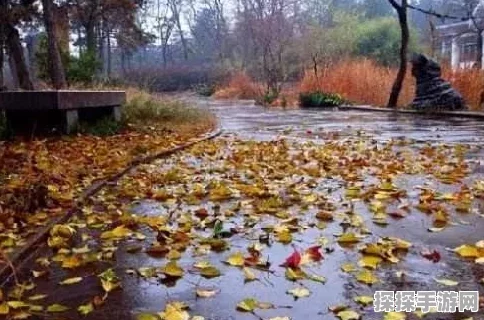 迷你世界创意无限，揭秘树木茁壮成长的秘密，新版本更新亮点纷呈