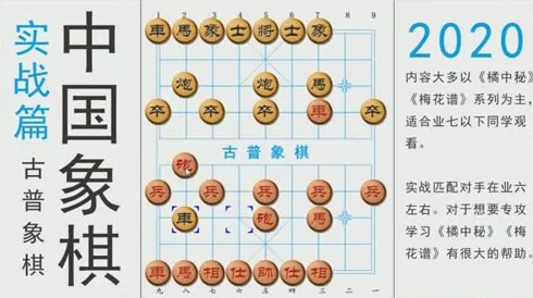象棋新解谜，智慧碰撞的脑力盛宴深度解析