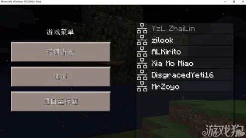 我的世界PE版与Win10版联机教程大揭秘，跨越平台的冒险之旅