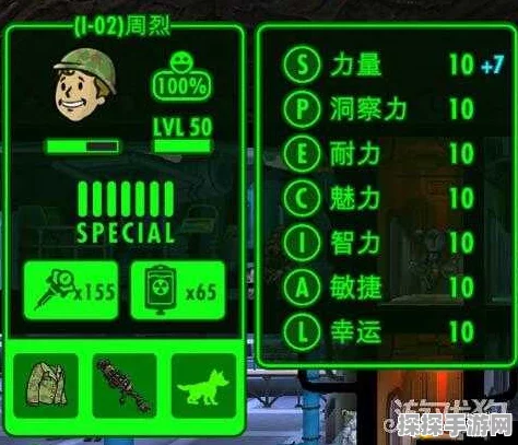 手游资讯，深入解析辐射避难所人物属性作用
