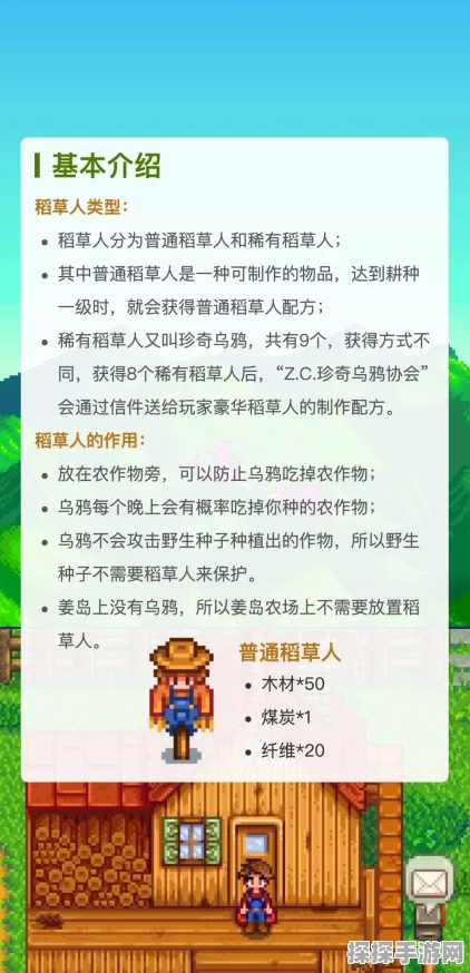 星露谷物语稻草人建造全攻略，从选址到完成的实用指南