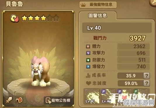 手游资讯，石器时代起源新宠棕虎贝鲁鲁全面解析