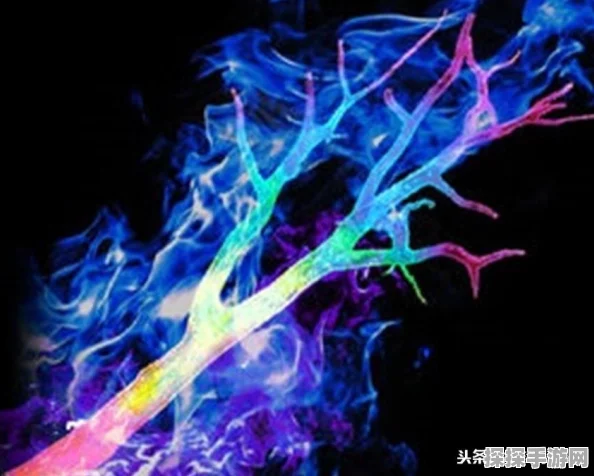 三国志13名品宝物系统深度解析，手游资讯速递
