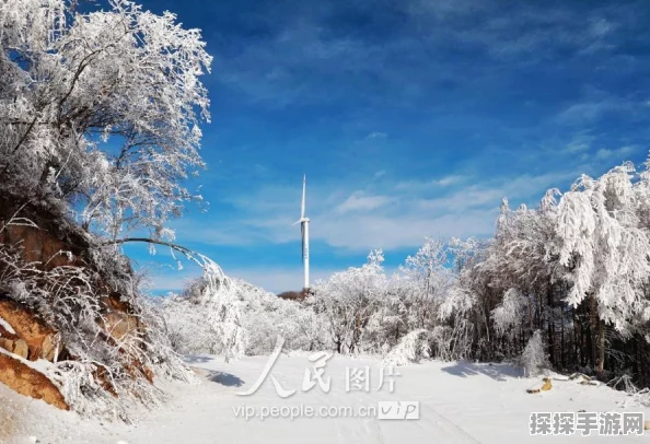 手游资讯，第五人格雪地地图发电机固定刷新点揭秘，助你速寻关键位置